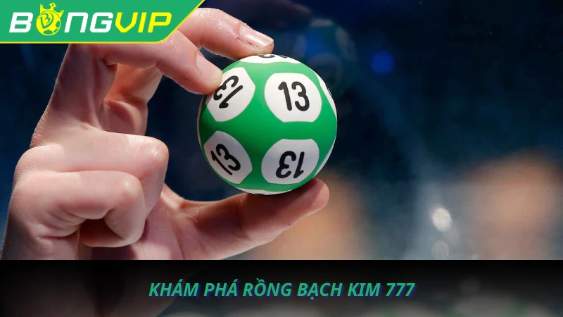 cau-lo-rong-bach-kim-777-2