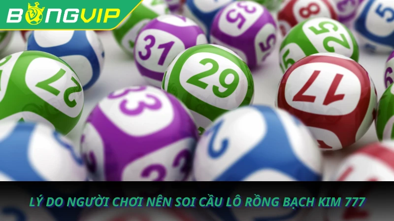 cau-lo-rong-bach-kim-777-3